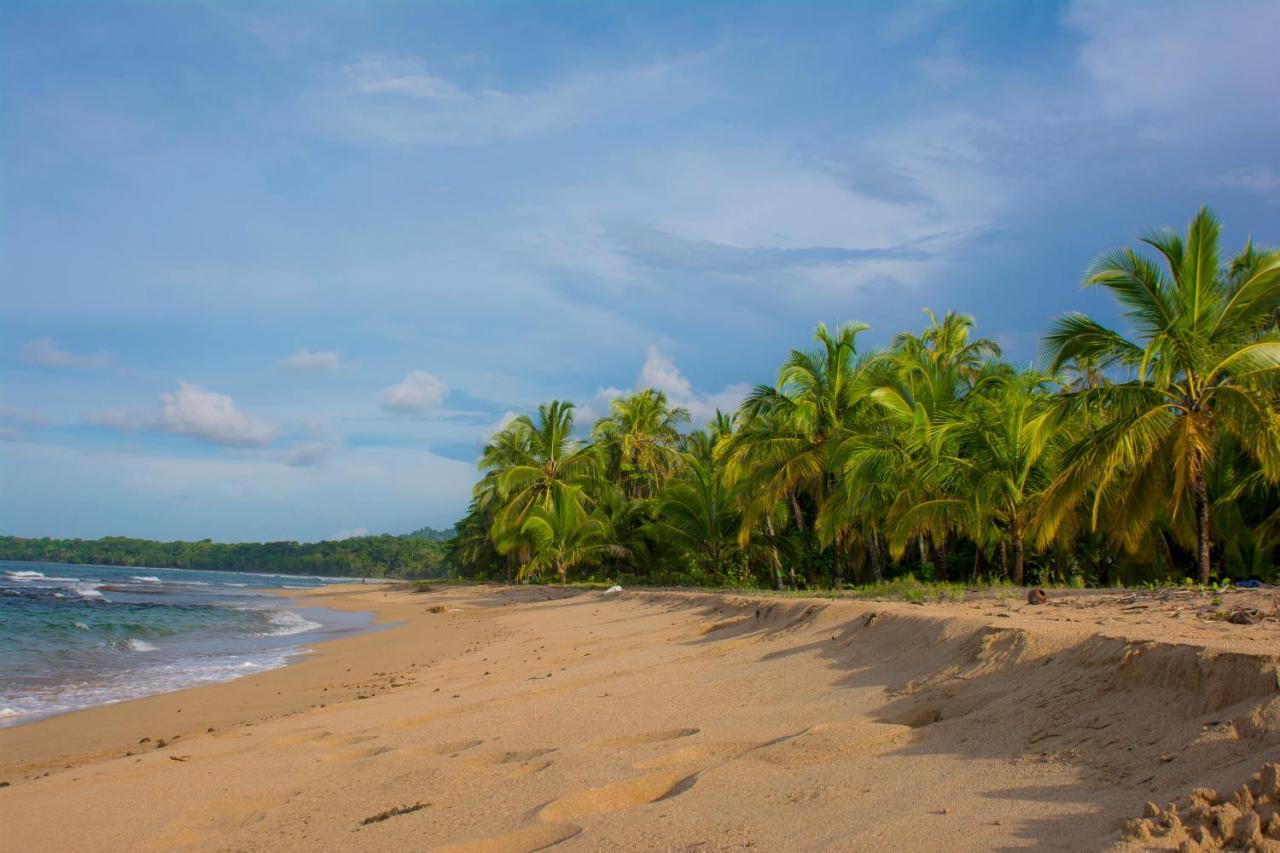Hotel Sunshine Caribe Puerto Viejo de Talamanca Dış mekan fotoğraf