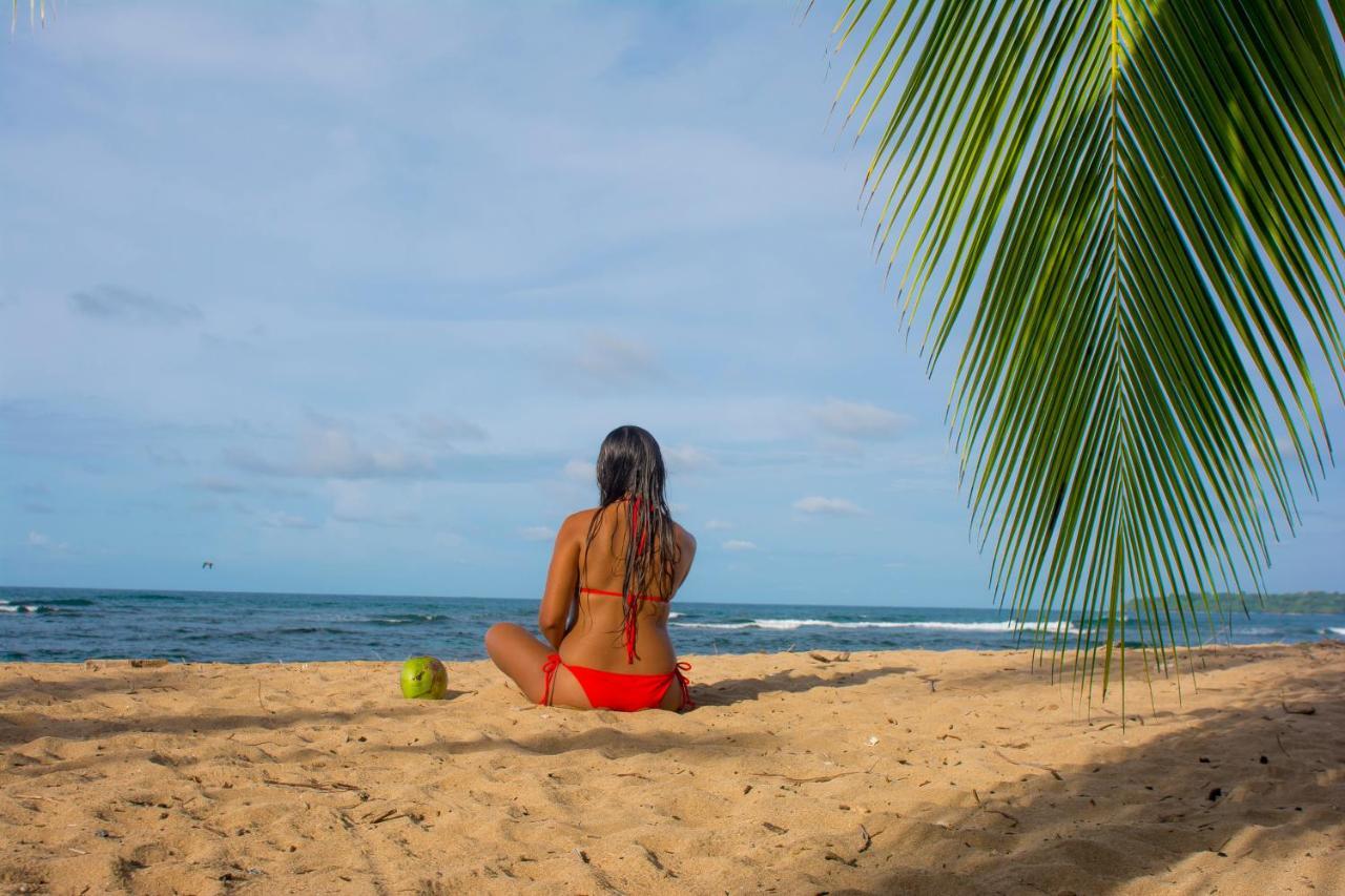 Hotel Sunshine Caribe Puerto Viejo de Talamanca Dış mekan fotoğraf