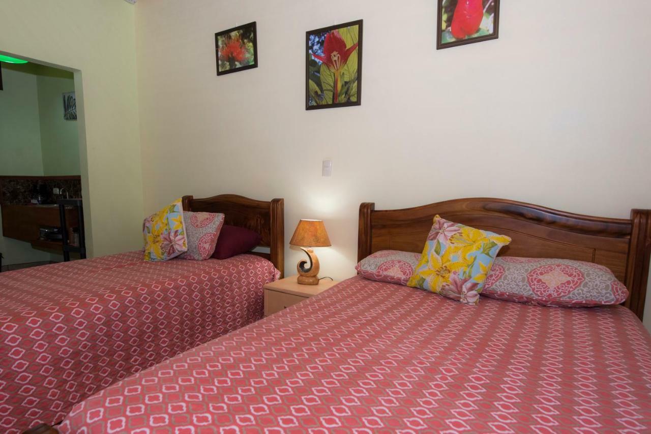 Hotel Sunshine Caribe Puerto Viejo de Talamanca Dış mekan fotoğraf